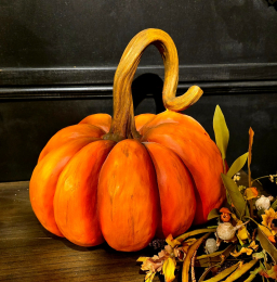 Pumpkinny 13x13x13in