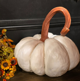 white Pearl Pumpkin 13x13x13in