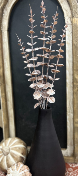 Natural Brown Eucalyptus