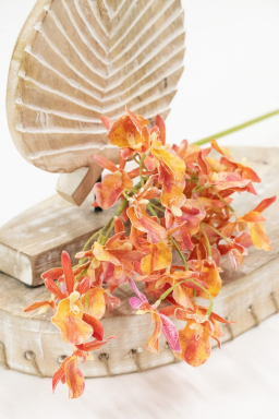 Orange Miniature Cymbidium 32in