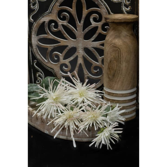 White Spider Mums 29in