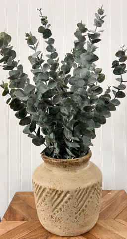 Eucalyptus 21in