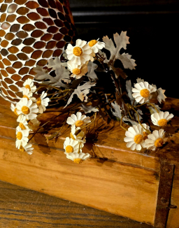 White Chamomile Stem 10in