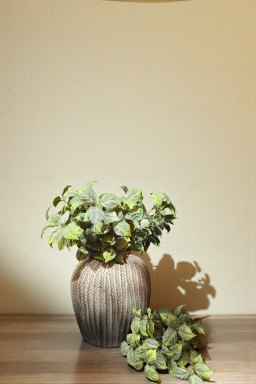 Fresh Mint Stem 18in