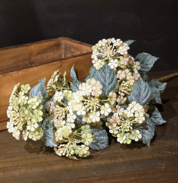 Pistachio Bloom 21in