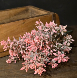 Raseberry Fields Stem 21in