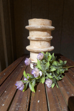 Violet Cream Stem 20in