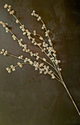 Sugarberry Twig 40in