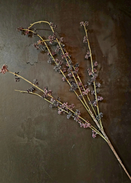 Plum Harvest Twig 40in
