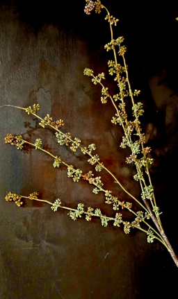 Sage Meadow Twig 40in