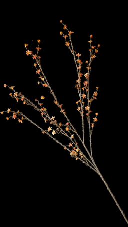 Copper Twig Stem 43in