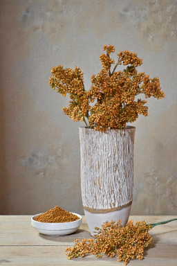 Maplewood Cluster 24in