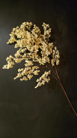 Snowberry Cluster 36in