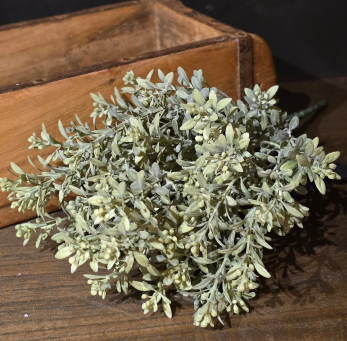 Sage Garden Stem 13in