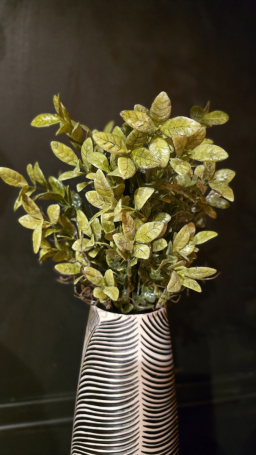 Dusty Green Stem 23in