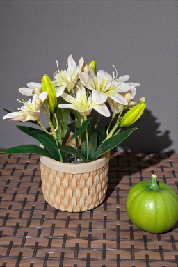 Grace in Bloom Pot 10in