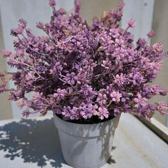 Springtime Lavender Pot 10in