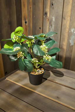 Ivory Bloom Pot 13in