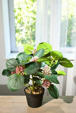 Blushing Grove Pot 13in