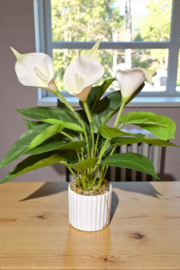 White Calla Lilly Pot 16in