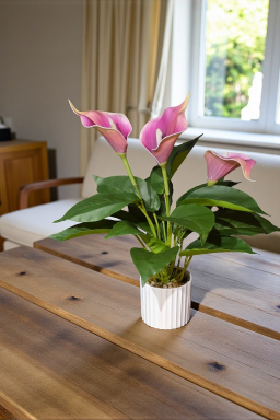 Purple Calla Lilly Pot 16in