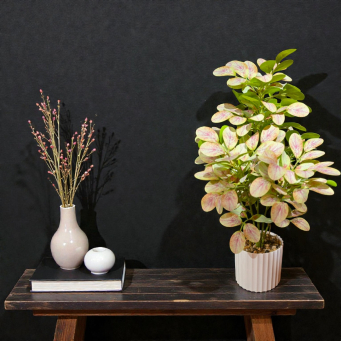 Modern Meadow Pot 19in