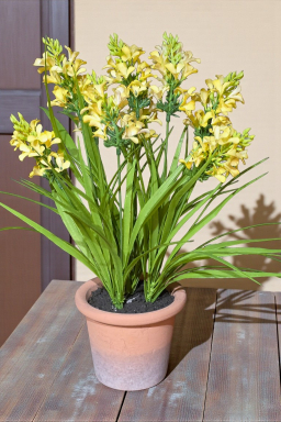 Sunny Fields Pot 18in