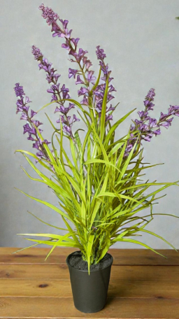 Lavender Breeze 33in