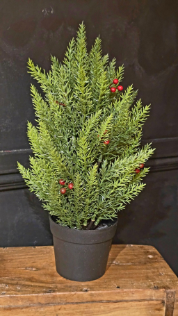 Large Evergreen Berry Pot 14in