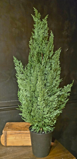 Winter Ridge 21in Potted Tree