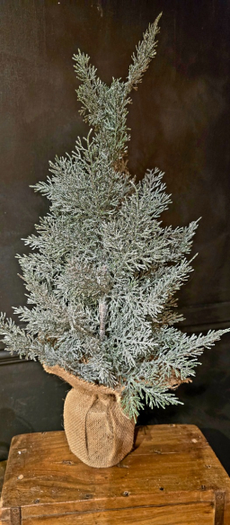 Frosty Christmas 23in Potted Tree