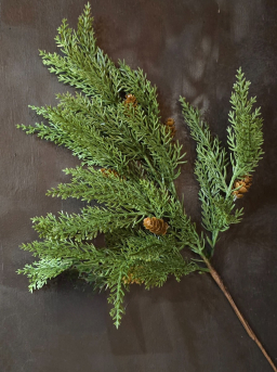 Mountain Pine Stem 19in