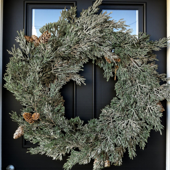 Frosted Lux Wreath 12in