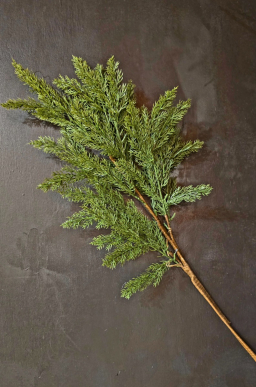 Traditional Pine 27in