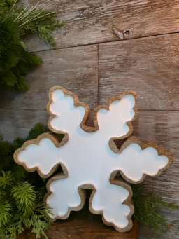 Snowflake Tray 10.4x10.4in