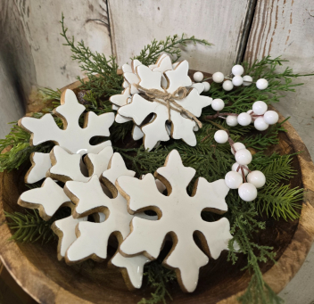 Snowflake Coasters Set 4