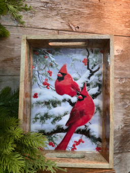 Cardinal Tray 11x8in