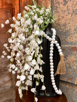 White Hanging Wisteria 4ft