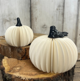 Mini White Round Pumpkin 2.5x4in