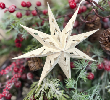 Small Star Shaped Paper Snowflake 3x5in